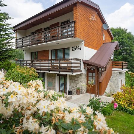 Willa Rosa-Apartamenty Z Prywatna Sauna Шклярска Поремба Екстериор снимка