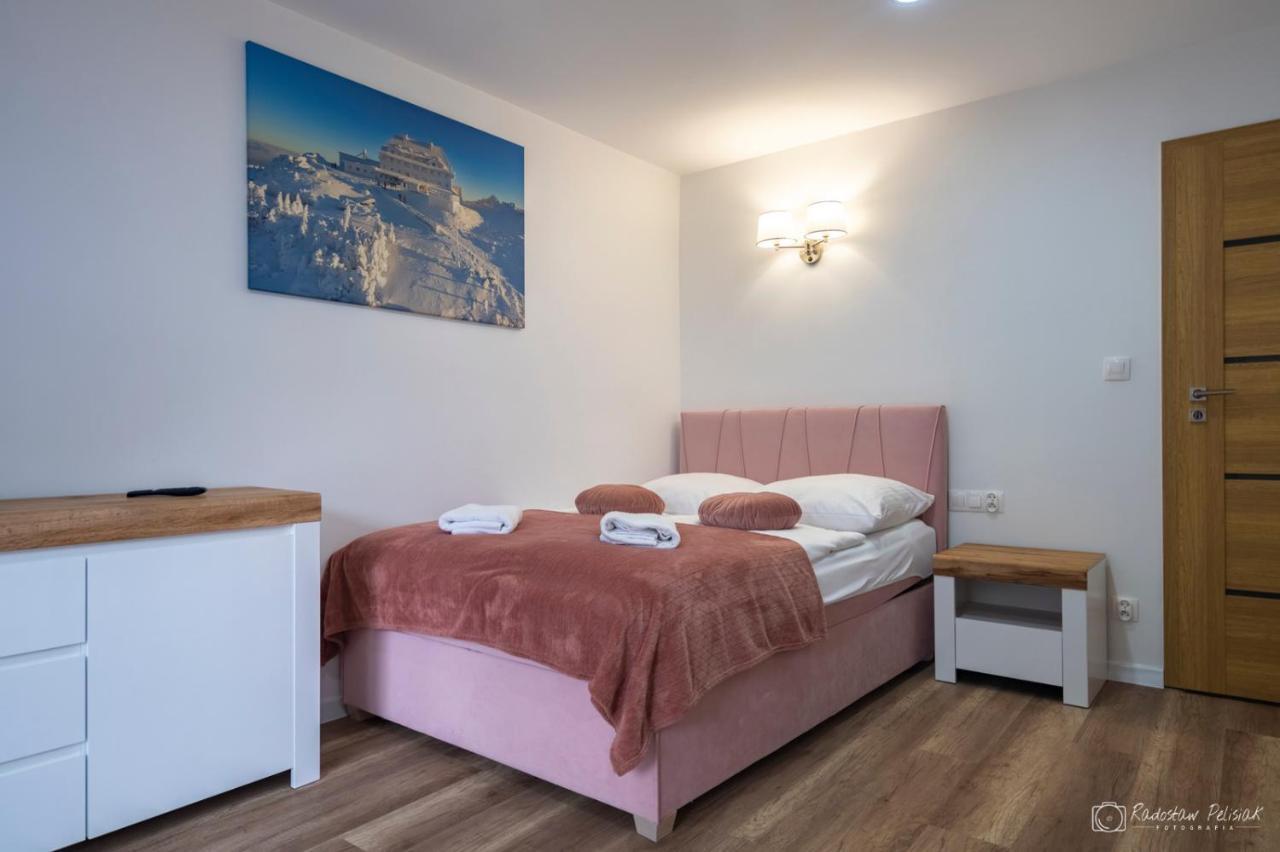Willa Rosa-Apartamenty Z Prywatna Sauna Шклярска Поремба Екстериор снимка